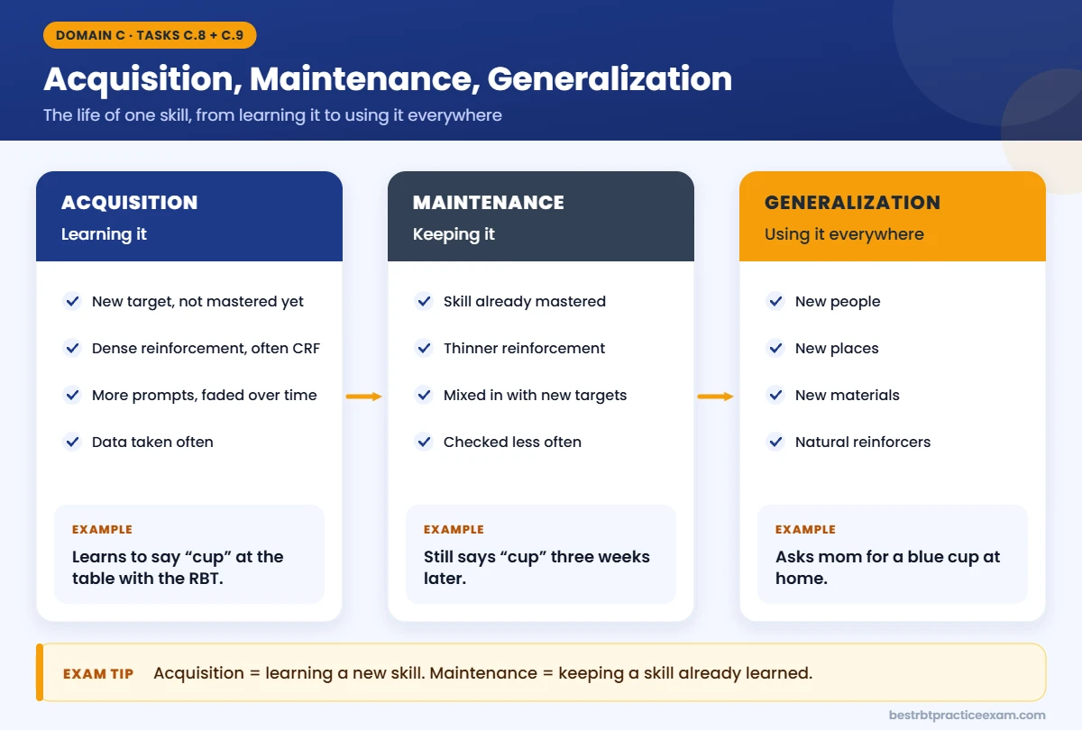 Acquisition vs maintenance vs generalization for RBTs, shown with one child learning to say cup